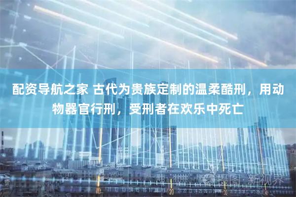 配资导航之家 古代为贵族定制的温柔酷刑，用动物器官行刑，受刑者在欢乐中死亡